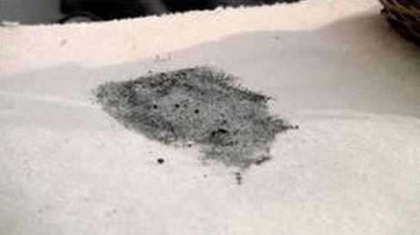 cleaning moldy carpets